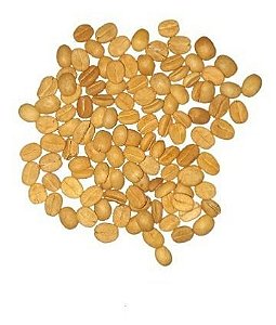 100 Sementes De Café Arábica Para Formação De Mudas De Café + Manual + Brinde Adubo De Formação - Diversas Cultivares