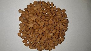300 Sementes De Café Arábica Mundo Novo + Manual + Brinde Adubo De Formação !