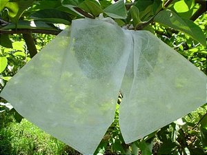 100 Sacos Tnt Proteção De Frutas 18 X 26 - Padrão Para Maioria Das Frutas E Hortaliças