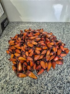 Kit 15 Kg Pinhão De Araucária - Serra Mantiqueira - Mg