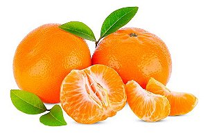 Kit 8 Mudas De Laranja Murcote - Mexerica + Manual