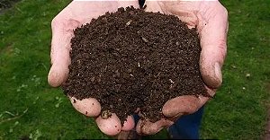 5 Kits de Adubo Universal Orgânico de Alta Qualidade!!! Horta, Pomares, Jardins, Flores, Gramados uso Universal