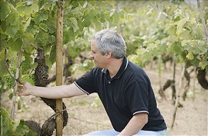 PORTUGAL - BAIRRADA -QUINTA DAS BÁGEIRAS