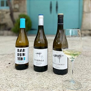 Um dos melhores Albariños da Galicia.QUINTA DE COUSELO ALBARIÑO TURONIA DO RÍAS BAIXAS 2022