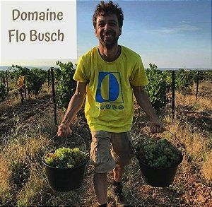 FRANÇA - DOMAINE FLO BUSCH