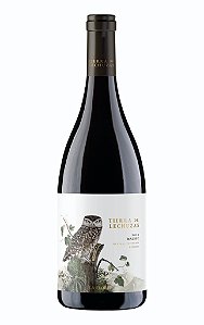 CAIXA COM 3 GARRAFAS  TIERRA DE LECHUZAS MALBEC 2022