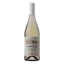 BODEGA & CAVAS DE WEINERT CARRASCAL SAUVIGNON BLANC 2024