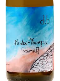 NATURE WINES CAIXA SOMENTE DE 06 GARRAFAS DENTRO DESTA CATEGORIA E GANHE 01 GARRAFA SURPRESA - Bianka & Danie Müller - Thurgau (Laranja) 2020