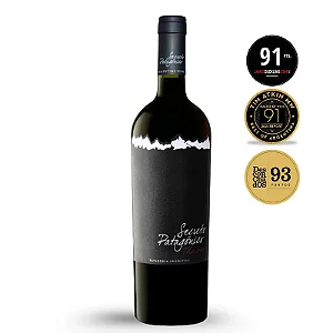 NATURE WINES CAIXA SOMENTE DE 06 GARRAFAS DENTRO DESTA CATEGORIA E GANHE 01 GARRAFA SURPRESA – Vinícola Secreto Patagônico Rocamadre Malbec 2021