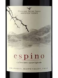 NATURE WINES CAIXA SOMENTE DE 06 GARRAFAS DENTRO DESTA CATEGORIA E GANHE 01 GARRAFA SURPRESA – Vinícola William Fevre Espino Reserva Cabernet Sauvignon 2020