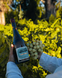 NATURE WINES - AGRICOLA BELLA VISTA RIVERAS DEL CHILLAN RIVERAS DEL CHILLAN ESCOGIDO GEWURZTRAMINER 2023