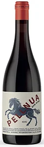 NOVIDADE TINTO - ENGUERA PELLNUA MONASTRELL 2024
