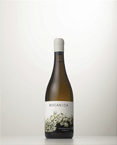 NOVIDADE NATURAIS CHILE – VINOS BOCASECA BRANCO FIND BLEND 2022