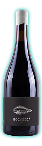NOVIDADE NATURAIS CHILE – VINOS BOCASECA PAÍS 2021