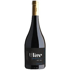 NOVIDADE NATURAIS CHILE – VINOS ULTER WINES CABERNET FRANC 2023