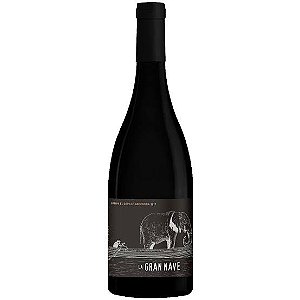 NOVIDADE VINHOS NATURAIS ARGENTINA - CANOPUS VINOS LA GRAN NAVE 2020 VINHO TINTO SECO