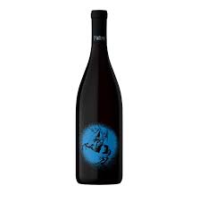 NOVIDADE VINHOS NATURAIS ARGETINA - CANOPUS VINOS PINTOM SUR 2018 VINHO TINTO SECO