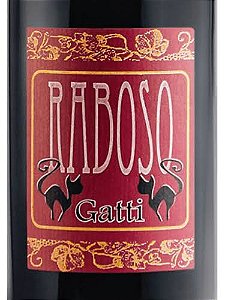 NOVIDADE VINHOS NATURAIS ITÁLIA - RABOSO 2020 MARCA TREVIGIANA IGT - VINHO TINTO SECO