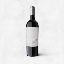 NOVIDADES VINHOS NATURAIS ARGENTINA MIGUEL MINNI ANCELLOTTA 2022
