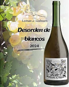 NOVIDADE VINHOS NATURAIS CHILE - DESORDEN DE BLANCAS BLEND 2024