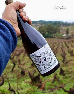 NOVIDADE VINHOS NATURAIS CHILE - DESORDEN DE TINTAS BLEND 2024