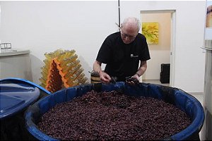 COMPRAS A PARTIR DE 4 GARRAFAS DO MESMO PRODUTOR - VINHO RUA DO URTIGÃO ISTANBUL 2025