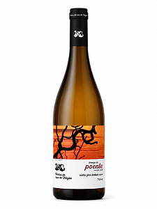 COMPRAS A PARTIR DE 4 GARRAFAS DO MESMO PRODUTOR - VINHO RUA DO URTIGÃO POENTE MOSCATO CANELLI 2024