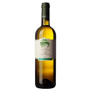 ITÁLIA COM GOSTO NOVIDADE -MARCHE BIANCO IGT DI GINO 2024