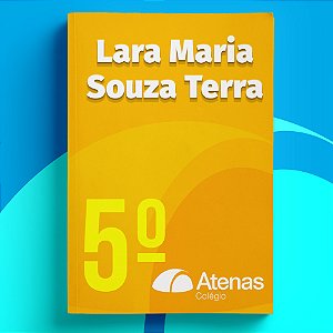 Lara Maria Souza Terra