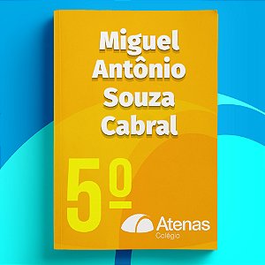 Miguel Antônio Souza Cabral