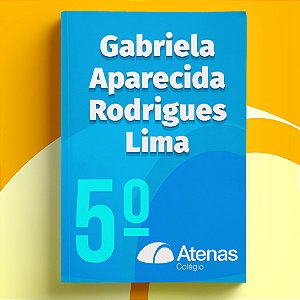 Gabriela Aparecida Rodrigues Lima