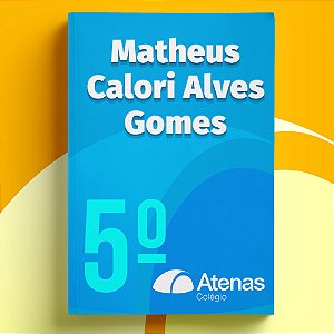 Matheus Calori Alves Gomes