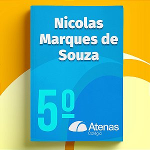 Nicolas Marques de Souza