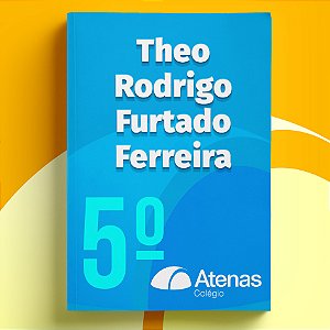 Theo Rodrigo Furtado Ferreira