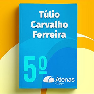 Túlio Carvalho Ferreira