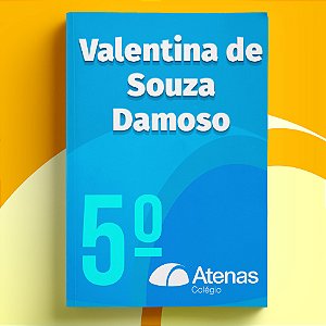 Valentina de Souza Damoso