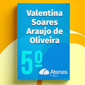 Valentina Soares Araujo de Oliveira