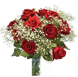 Elegância das Rosas Vermelhas