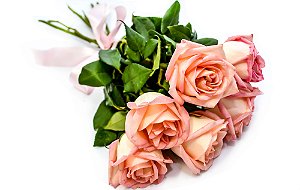 Buquê de Rosas Cor de Rosa - 3 ou 6 unidades