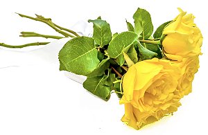Buquê de Rosas Amarelas - 3 ou 6 unidades