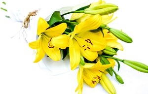 Buquê Prosperidade de Lírios Amarelos