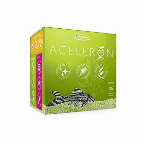 Aceleron Induspharma Neutralizador de Amônia 6 Ampolas 10ml