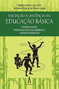 Iniciação à docência na educação básica