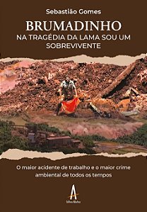 Brumadinho: na tragédia da lama, sou um sobrevivente