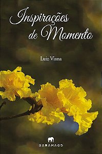 Inspirações de momento
