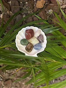Kit Pedras dos Chakras + Concha