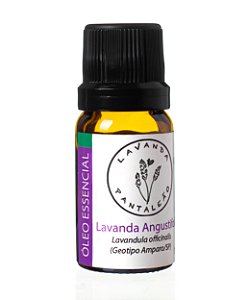 Óleo Essencial Lavanda Angustifolia 10ml - Geotipo Amparo, São Paulo