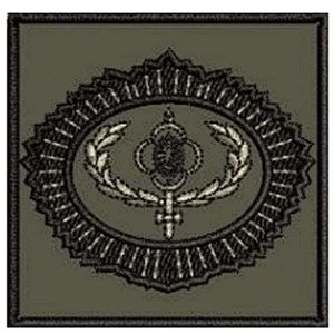 Distintivo de Baixa Visibilidade - Curso Adjunto de Comando (uso fora do exercício da função)