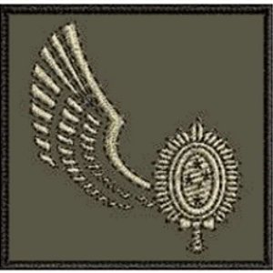 Distintivo de Baixa Visibilidade - Estágio de operações aeromóveis