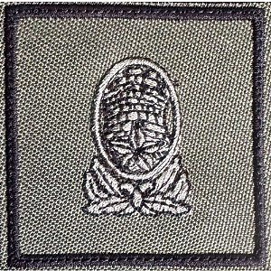 Insígnia de Baixa Visibilidade - Aluno EsPCEx (2026)